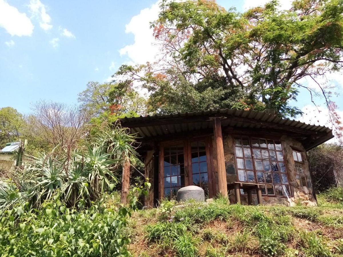 Bushwhacked Barberton Hotel Ngoại thất bức ảnh
