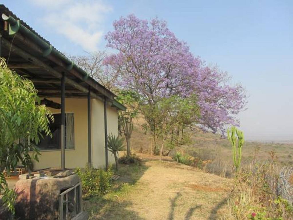 Bushwhacked Barberton Hotel Ngoại thất bức ảnh