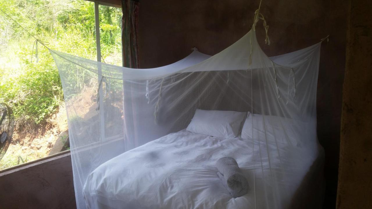 Bushwhacked Barberton Hotel Ngoại thất bức ảnh